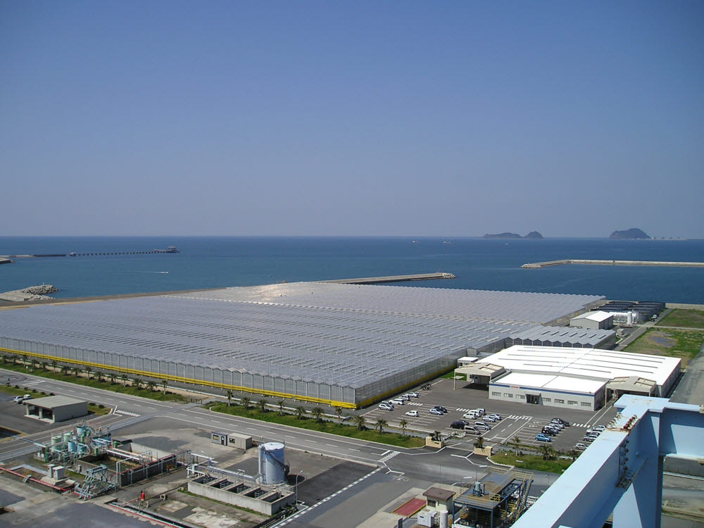 그린플러스가 구축한 일본 토마토 스마트팜 외부 전경