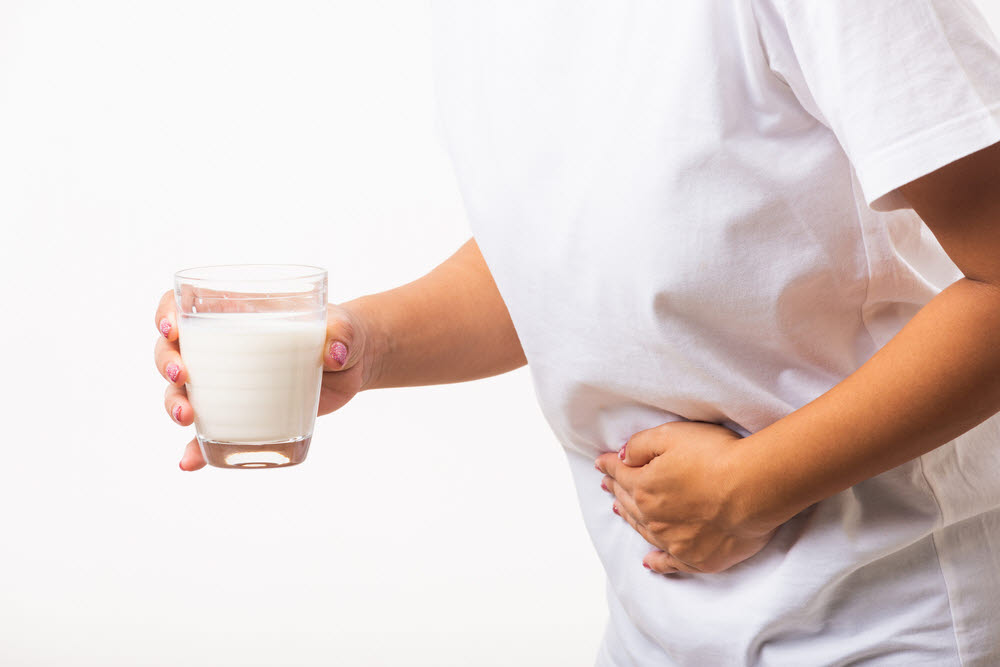 많은 성인들이 우유 속 유당을 소화할 수 있는 효소를 생산할 수 없어 유당 불내증을 겪는다. (출처: shutterstock)