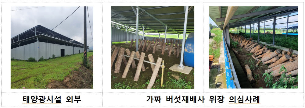 文정부 전력산업기반기금, 태양광 등 불법·부당 집행 2616억원 적발