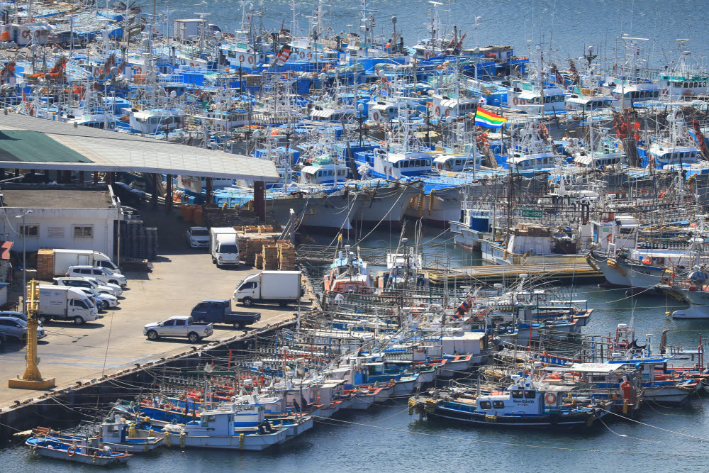 Fishing boats are evacuated to Seogwipo Port on the morning of the 18th while Typhoon No. 14 Nanmadol is heading north.  <Photo = Yonhap News>” style=”cursor:pointer;” itemprop=”image”/></a><figcaption class=