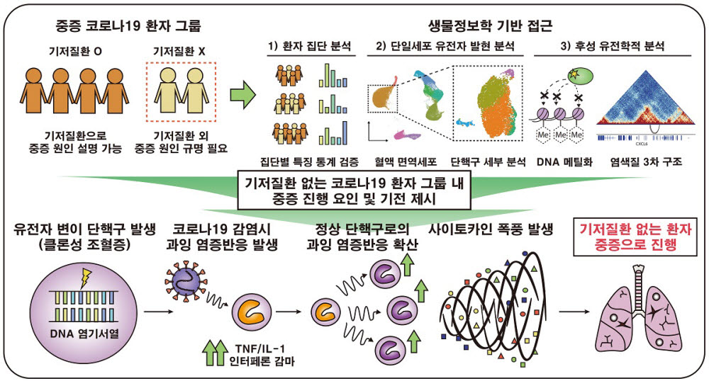 기저질환 없어도 코로나19 중증 진행 가능...KAIST 등, 중증 신규 위험 인자 규명