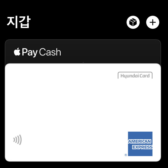 [단독]'애플페이' 내달 30일 한국 서비스…'현대카드 등록' 약관 유출