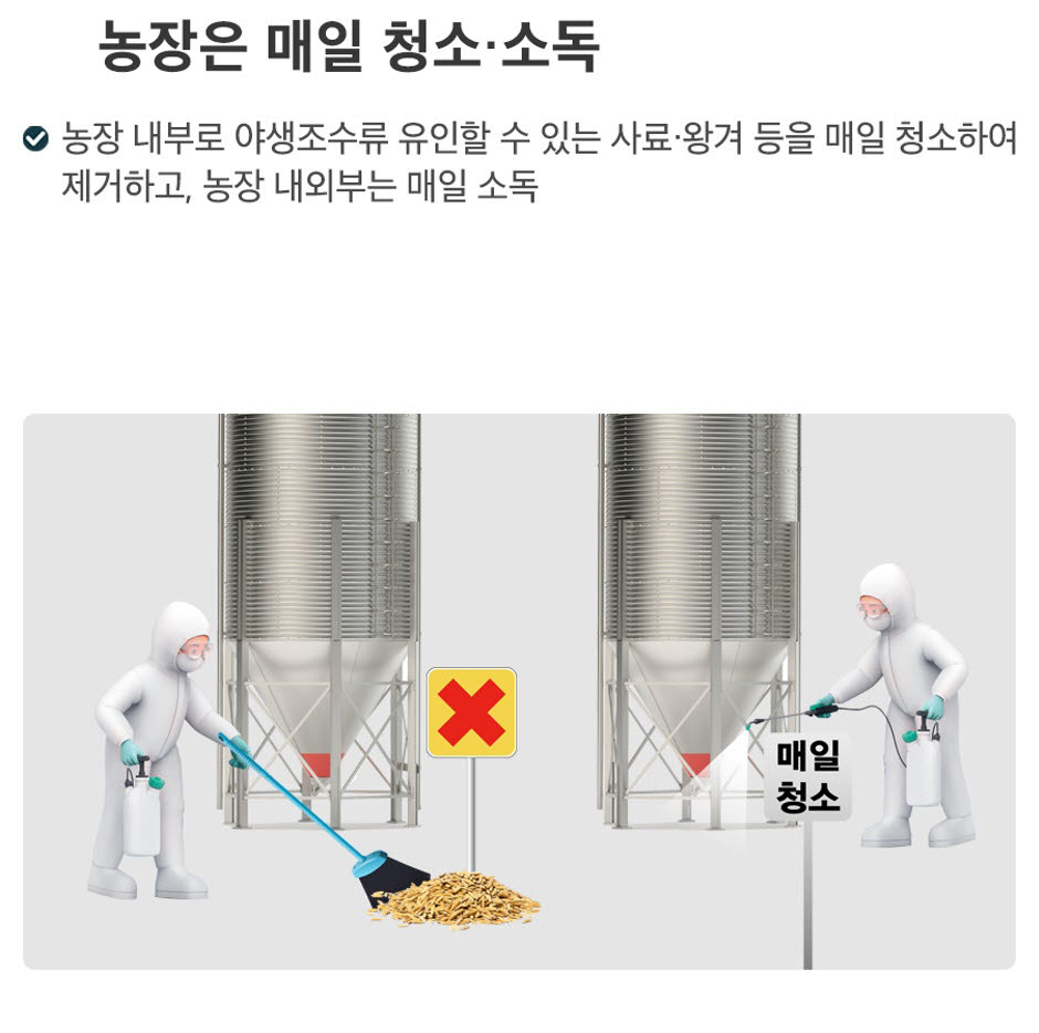 고병원성 조류인플루엔자(AI) 방역수칙 2