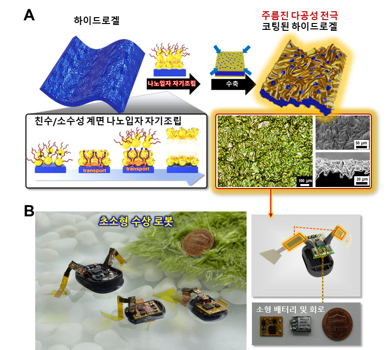 하이드로젤 액추에이터 제작 방법 및 초소형 로봇 구성 모식도. 사진=조진한 고려대 교수