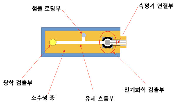 대장암, 키트로 간편·정확하게 진단한다...KBSI 조기 상용화 추진