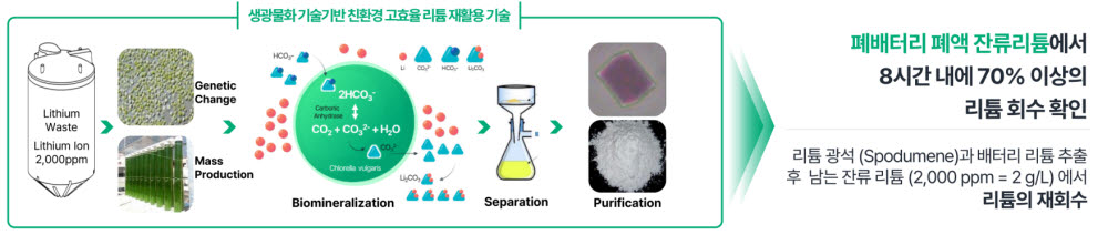 [人사이트]정광환 그린미네랄 대표 "미세조류로 폐액 내 잔류 리튬 회수"