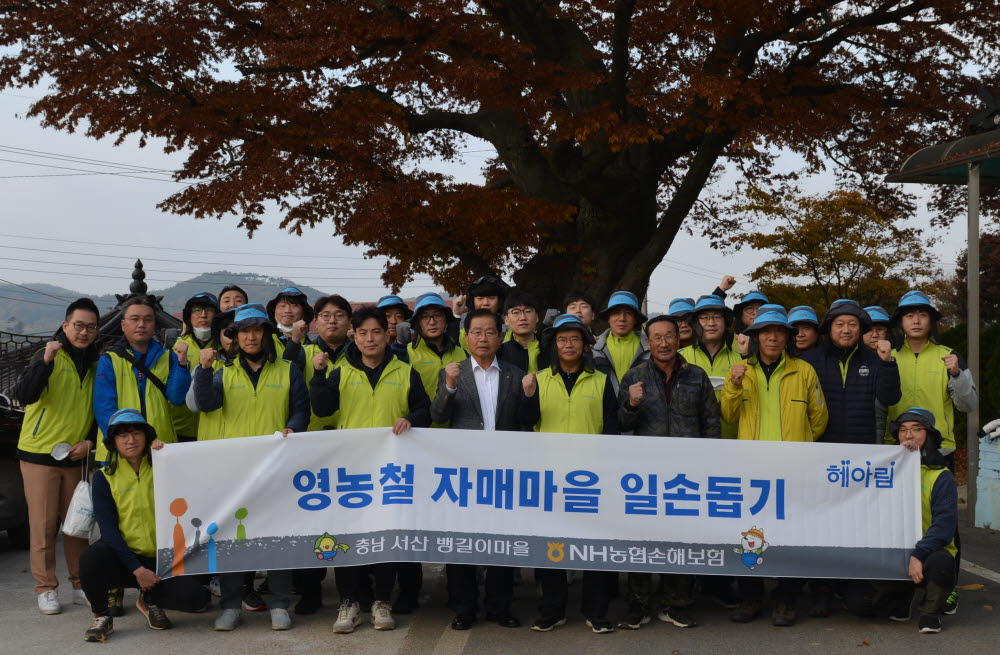 지난 8일 충남 서산시 뱅길이 마을에서 농촌 일손돕기에 참여한 신영수 NH농협손해보험 부사장(앞줄 왼쪽 다섯번째) 등 농협손보 직원들이 마을주민들과 기념촬영을 하고 있다.