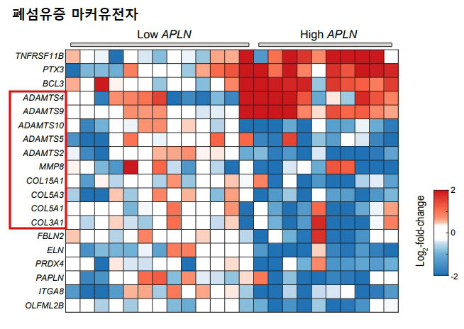 코로나19 사망자 중 바이러스의 양이 높은 그룹에서의 섬유증 바이오마커들 하향조절한 모습, 네모칸이 마커 유전자.