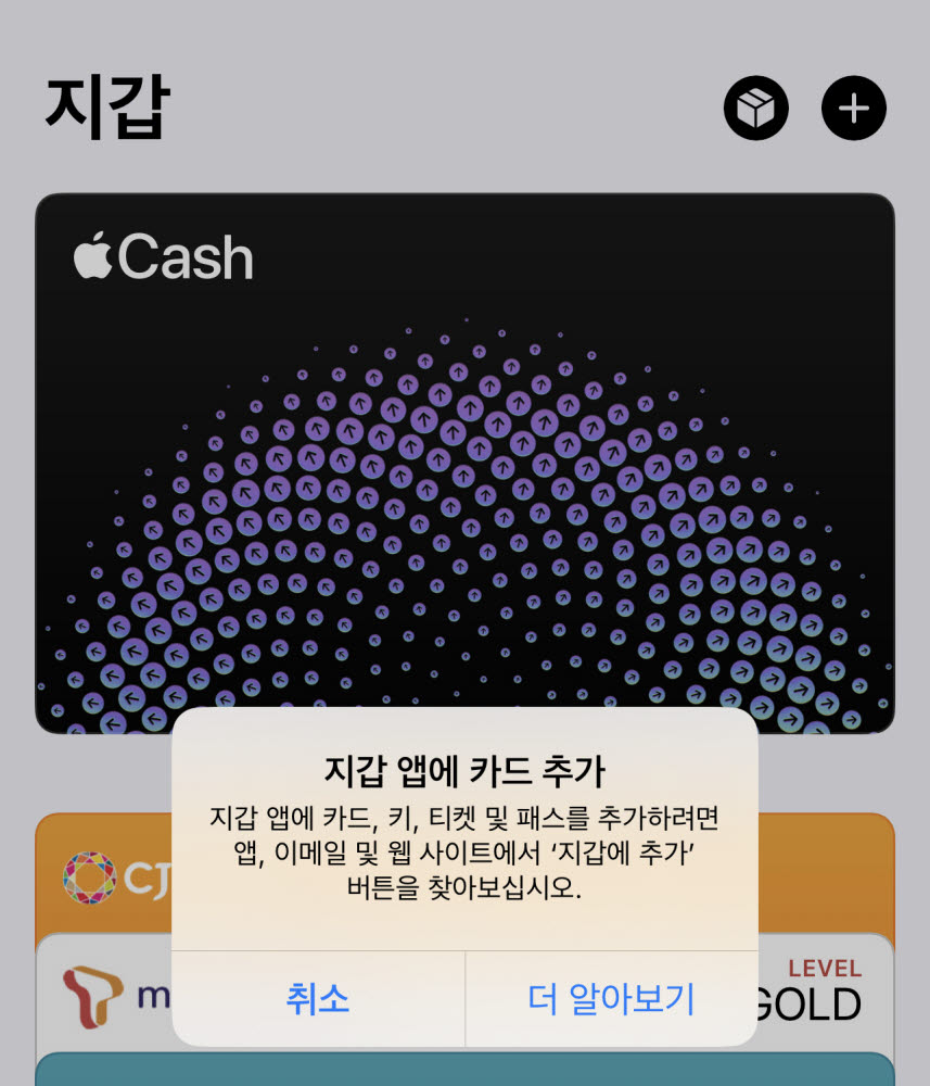 Apple Pay pilot service, busy preparing for the site only in the 'silence' of the Hyundai Card