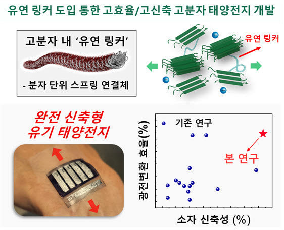 신규 개발된 유연 링커가 도입된 고분자 전자 받개 및 해당 소재가 사용된 완전 신축형 유기 태양전지. 사진=김범준 교수