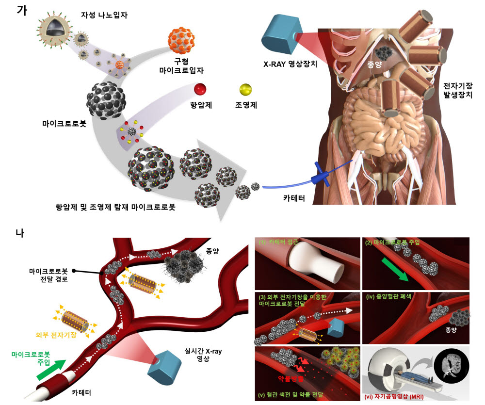 간 종양 색전을 위한 마이크로의료로봇 개념도. (가) 마이크로로봇 제작 및 주변 장치. (나) 마이크로로봇 전달 방법.