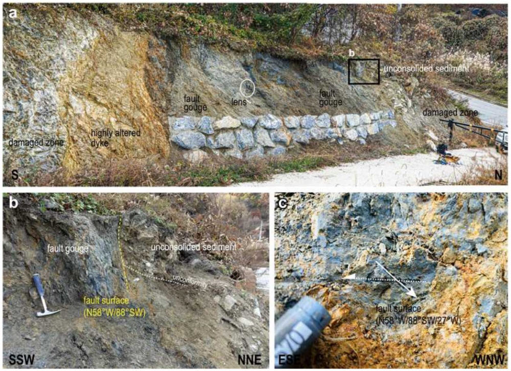 조곡단층대 내부구조 및 미고결 퇴적층 변위 노두 전경