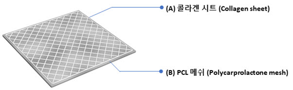 플코스킨 티슈덤 그래픽