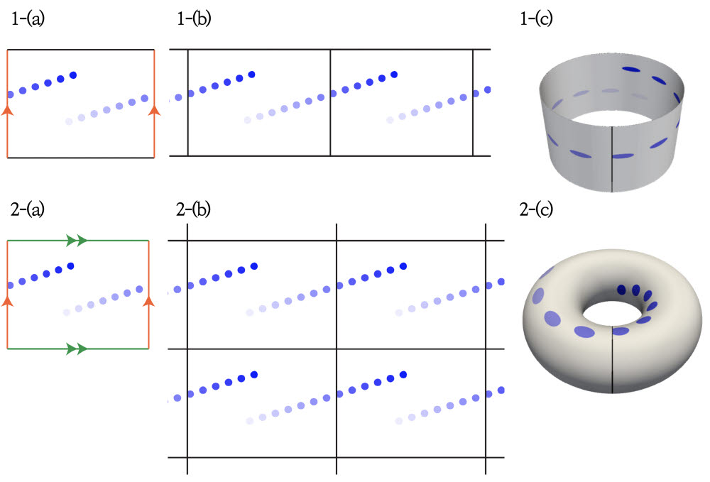 주기경계조건을 표현하는 다양한 방식의 그림적 표현. 파란 점은 이해를 돕기 위해 함께 표시됨.(1) 좌우(적색)에 주기경계조건을 가정한 경우, (2) 좌우(적색)와 상하(녹색)에 주기경계조건을 가정한 경우. (a) 기본 다각형 그림. 연결시킬 공간의 가장자리를 서로 다른 색/기호로 표시함. (b) 반복 그림. 여러 개의 동일한 공간을 나열하여 연결시킴. (c) 동일 위상 도형 매핑. 공간의 경계가 연결되도록 공간을 말거나 변형시킴.