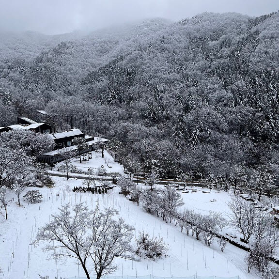 힐리언스 선마을 겨울 전경