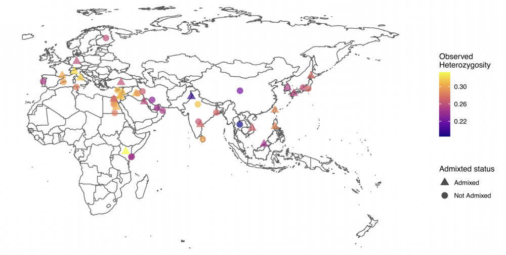 각 지역에서 채취한 고양이 유전자 샘플의 이형접합성(heterozygosity) 을 나타낸 지도. 이형접합성은 염색체의 특정 형질에 대한 유전자 자리에 서로 다른 대립 유전자가 있는 상태를 의미한다. (출처: Heredity)