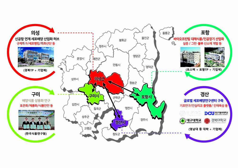 경북도가 세포배양 클러스터 조성에 나선다. 세포배양 클러스터 구상도.