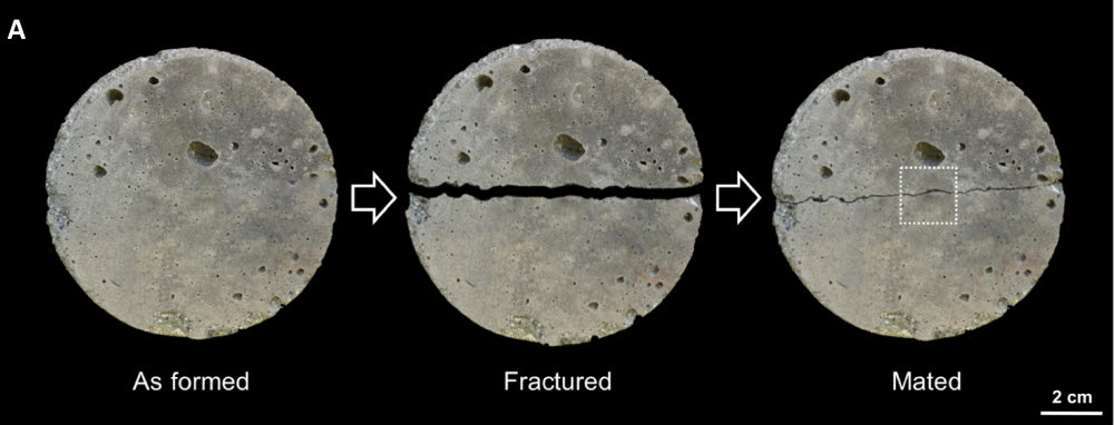 석회 쇄설암이 포함된 콘크리트는 균열이 생겨도 2주 이내에 자가 치유됐다. (출처: Science Advances)
