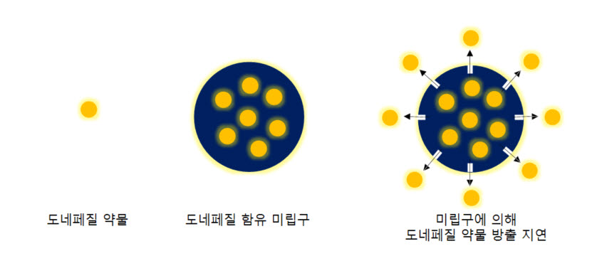 미립구에 의한 도네페질 약물 방출 지연 연구 개요도.