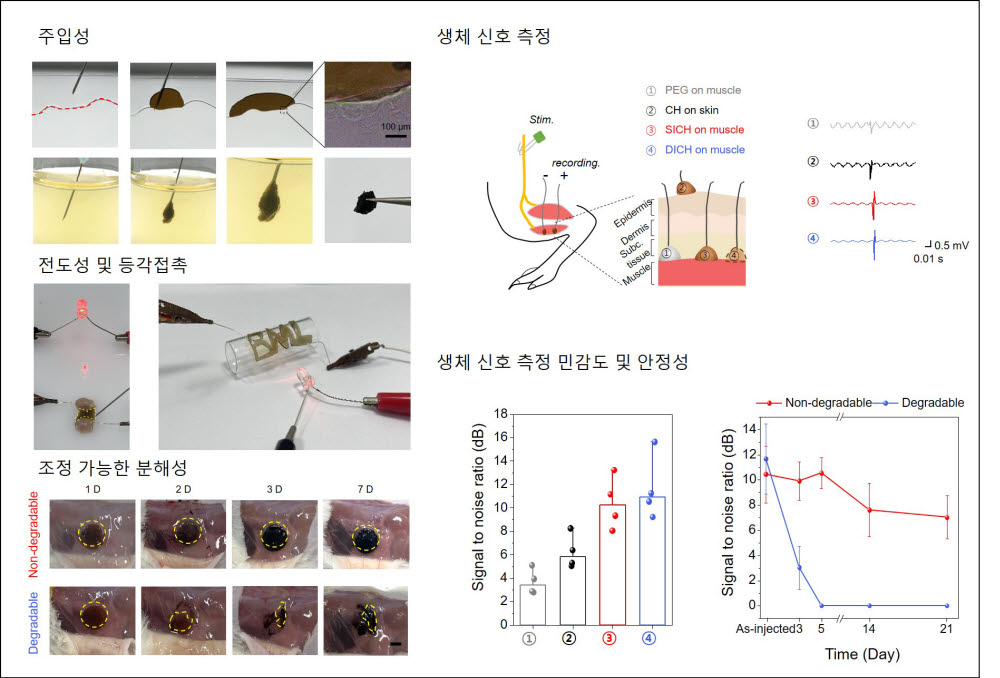 주사형 전도성 수화젤의 특성 분석 결과 주입성, 전도성, 분해성 및 생체 신호 측정 그림.