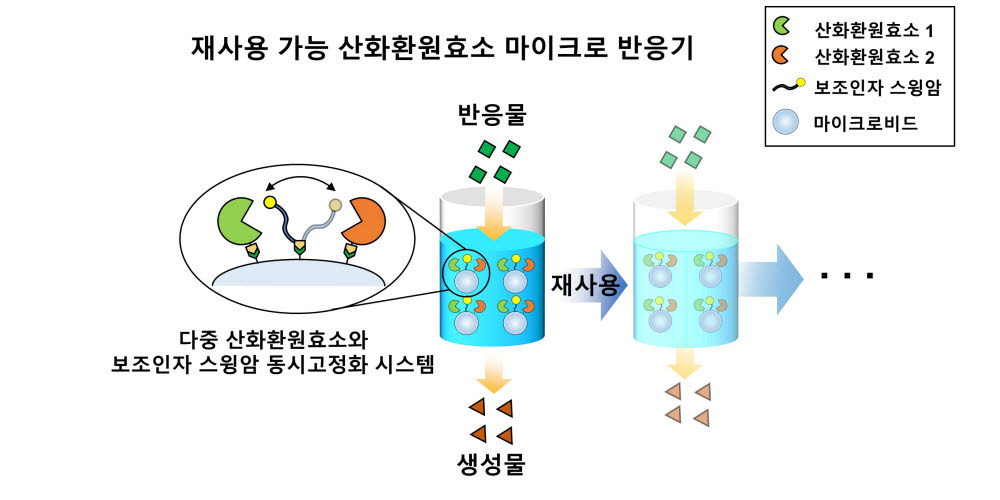 재사용 가능 산화환원 효소 마이크로 반응기.