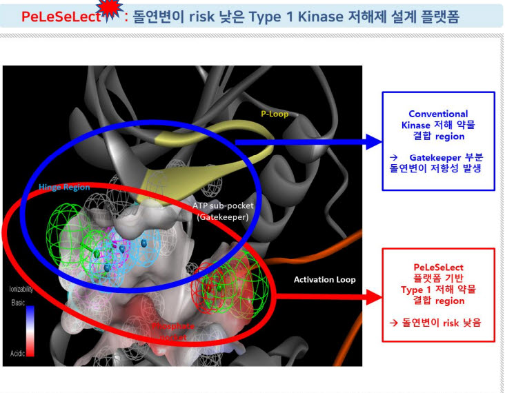 펠레메드가 개발한 신약개발 플랫폼 기술 펠레셀렉트(PeLeSeLect).